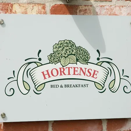 Hortense